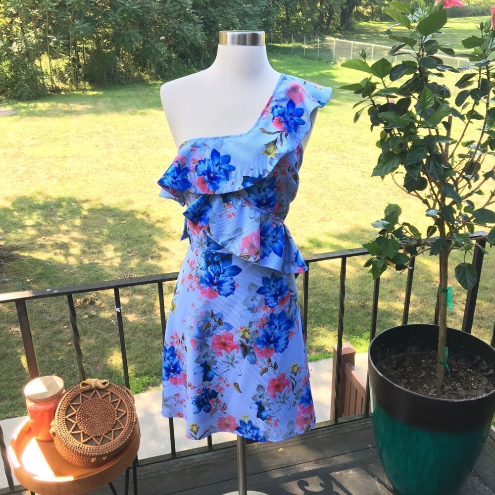 Willow & Clay Blue Floral Shoulder Ruffle Mini Dress NWT Size 10